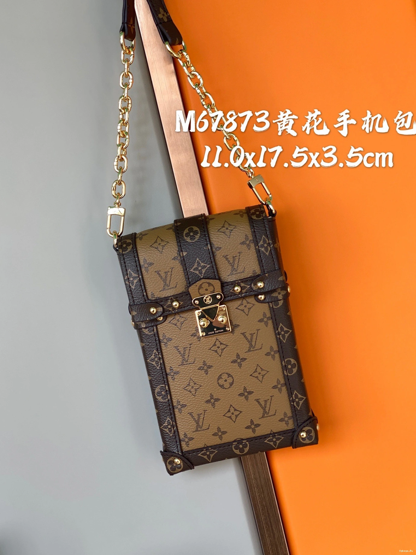TRUNK LOUIS POCHETTE VERTICAL VUITTON 0509
